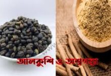 আলকুশি + অশ্বগন্ধা মিশিয়ে খাওয়ার নিয়ম