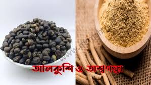 আলকুশি + অশ্বগন্ধা মিশিয়ে খাওয়ার নিয়ম